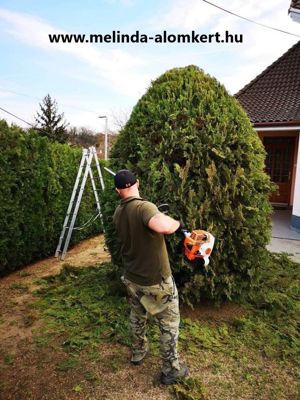  Fűnyírás kaszálás bozótírtás Siófok és környéke - kép 3