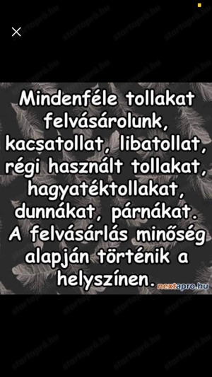 Tollfelvásárlás !!! Hivjon minket